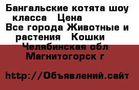 Бангальские котята шоу класса › Цена ­ 25 000 - Все города Животные и растения » Кошки   . Челябинская обл.,Магнитогорск г.